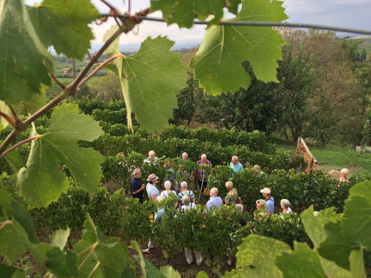 Merumalia Wine