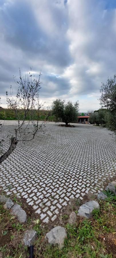 Alloggio per agriturismo Merumalia Wine *