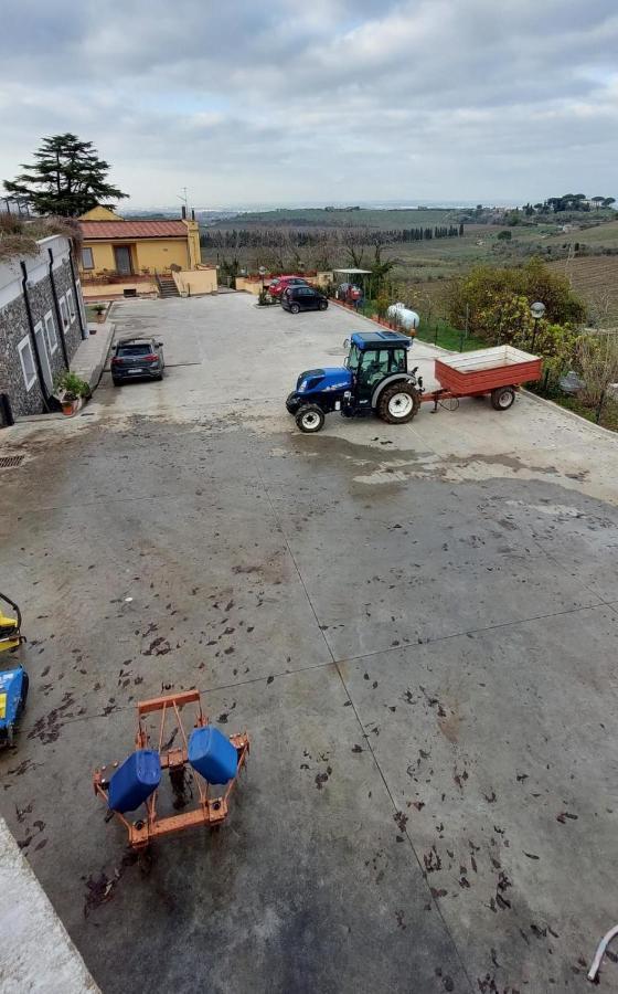 Alloggio per agriturismo Merumalia Wine