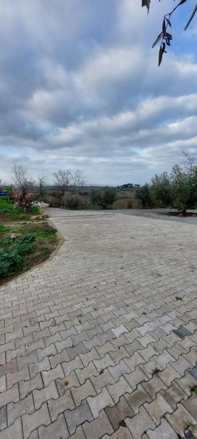 Alloggio per agriturismo Merumalia Wine *