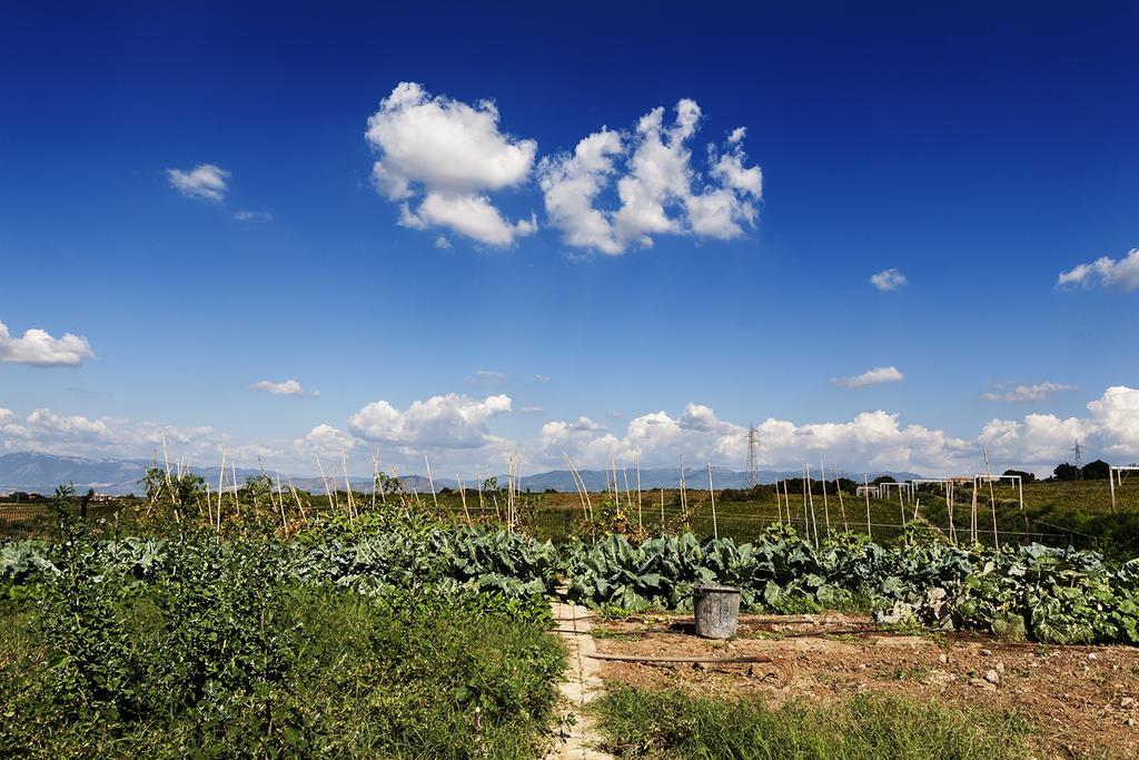 Merumalia Wine Alloggio per agriturismo *