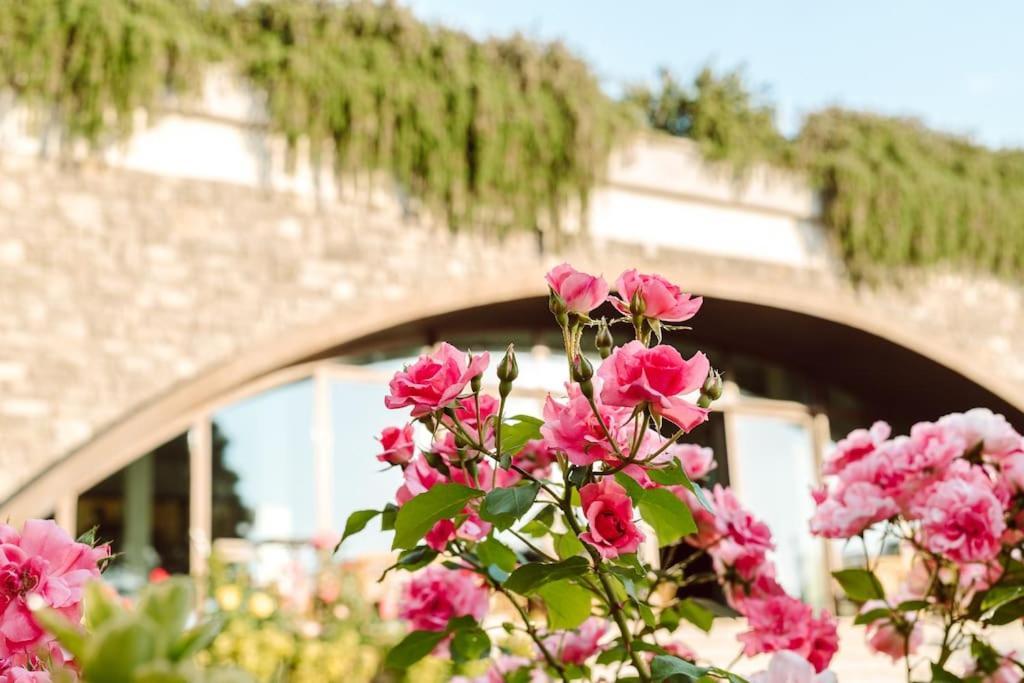 Alloggio per agriturismo Merumalia Wine *