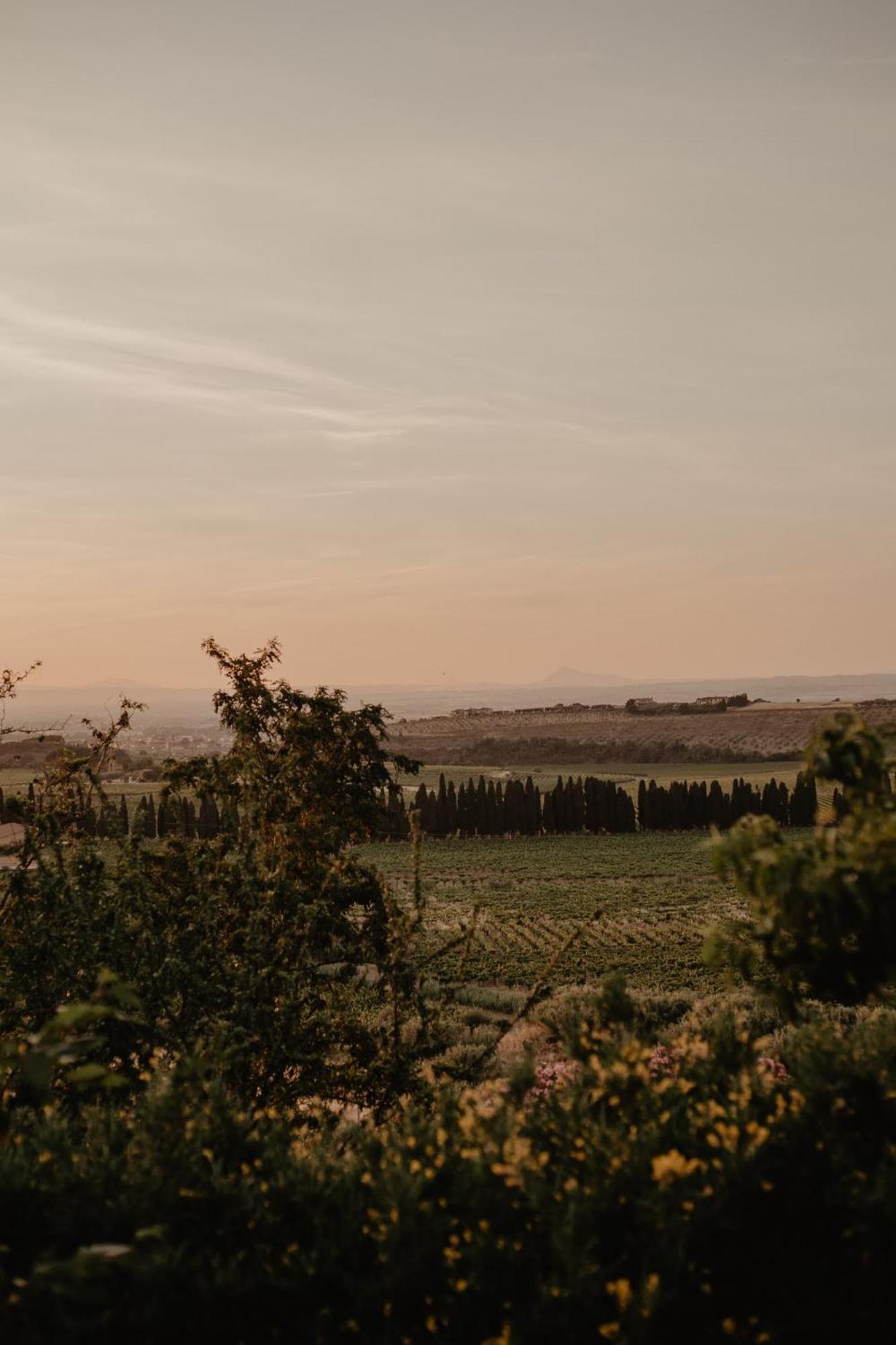 Alloggio per agriturismo Merumalia Wine