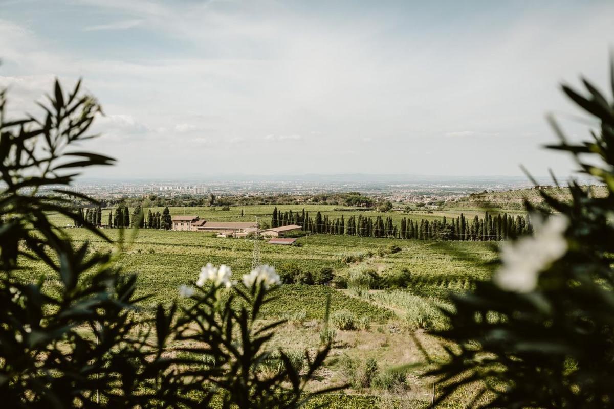 Merumalia Wine Alloggio per agriturismo *