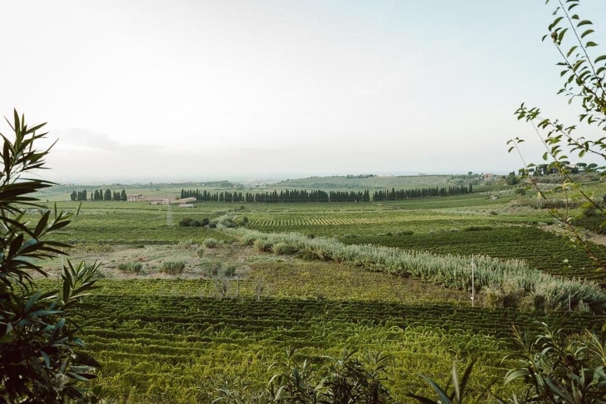 Alloggio per agriturismo Merumalia Wine *