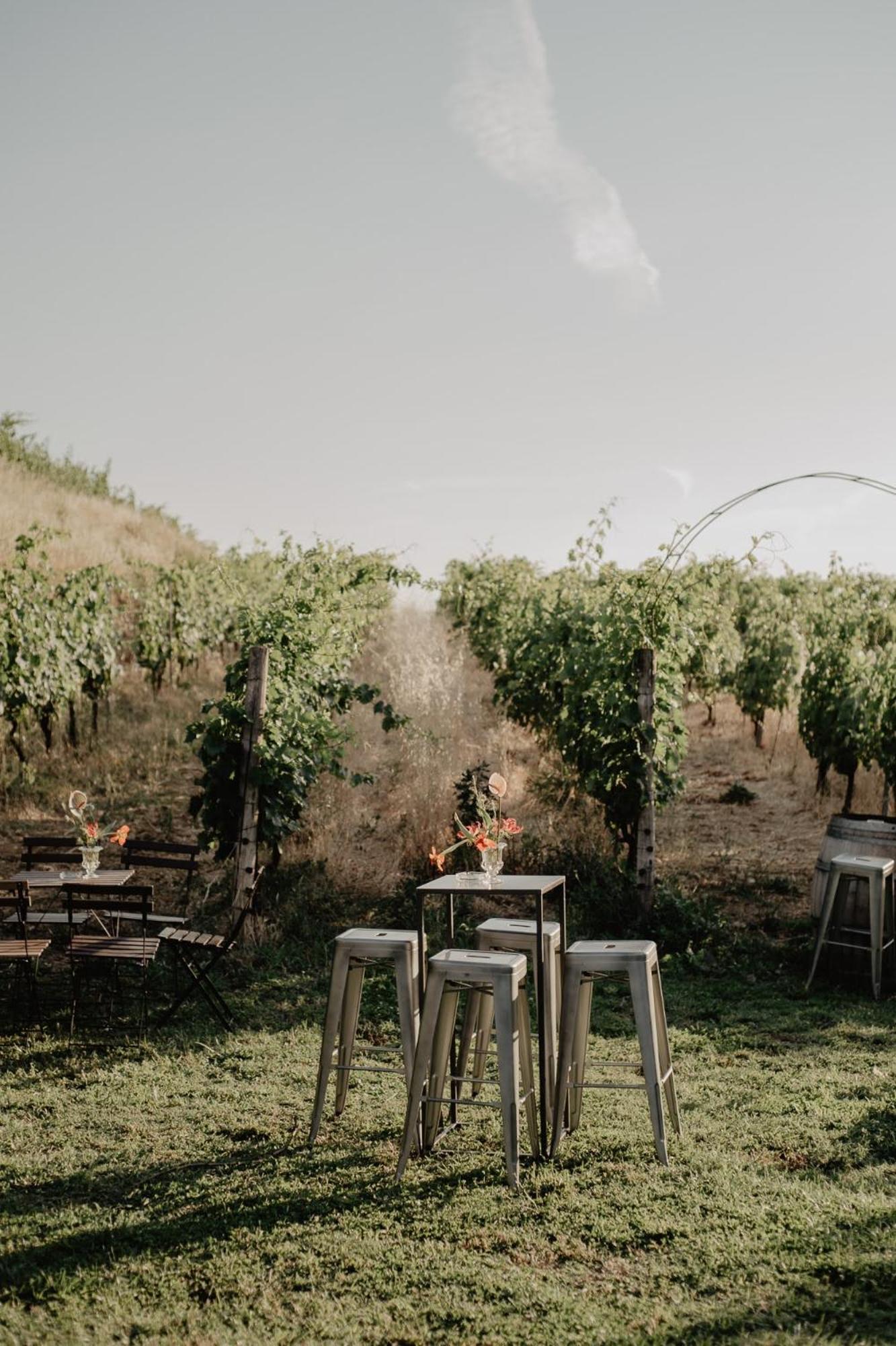 Merumalia Wine Frascati