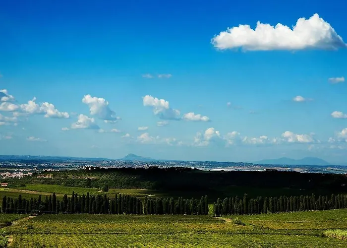 Merumalia Wine Resort