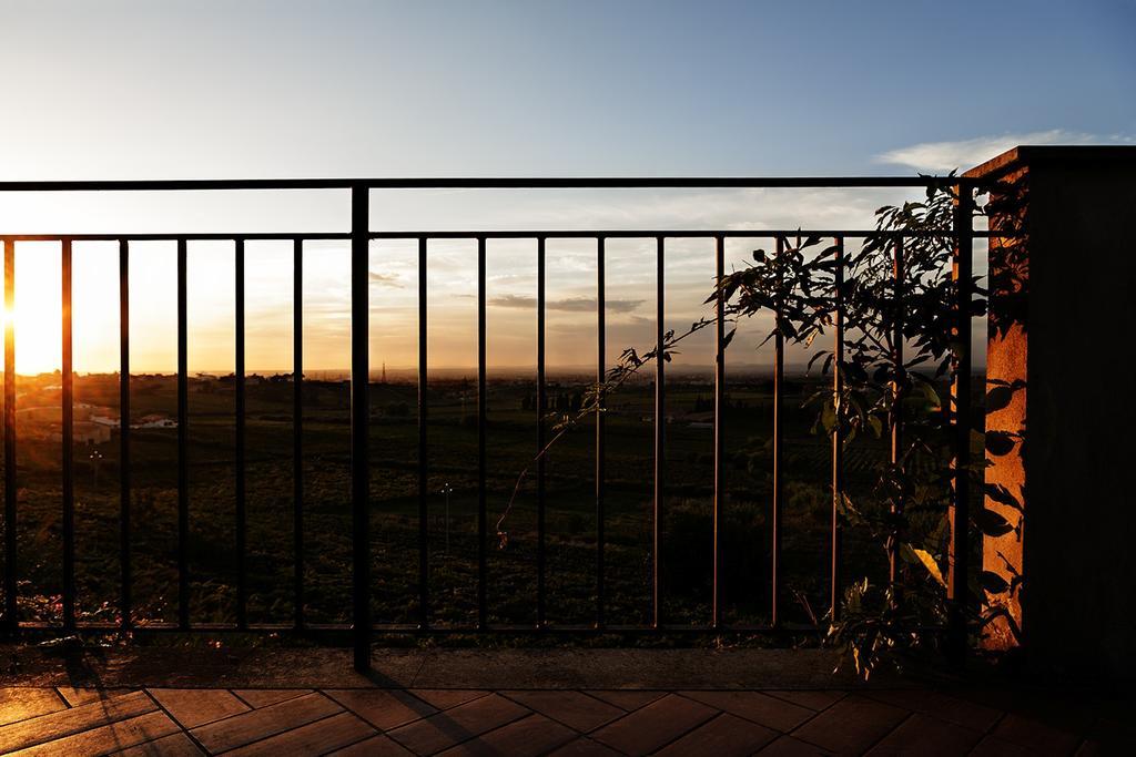 Farm stay Merumalia Wine