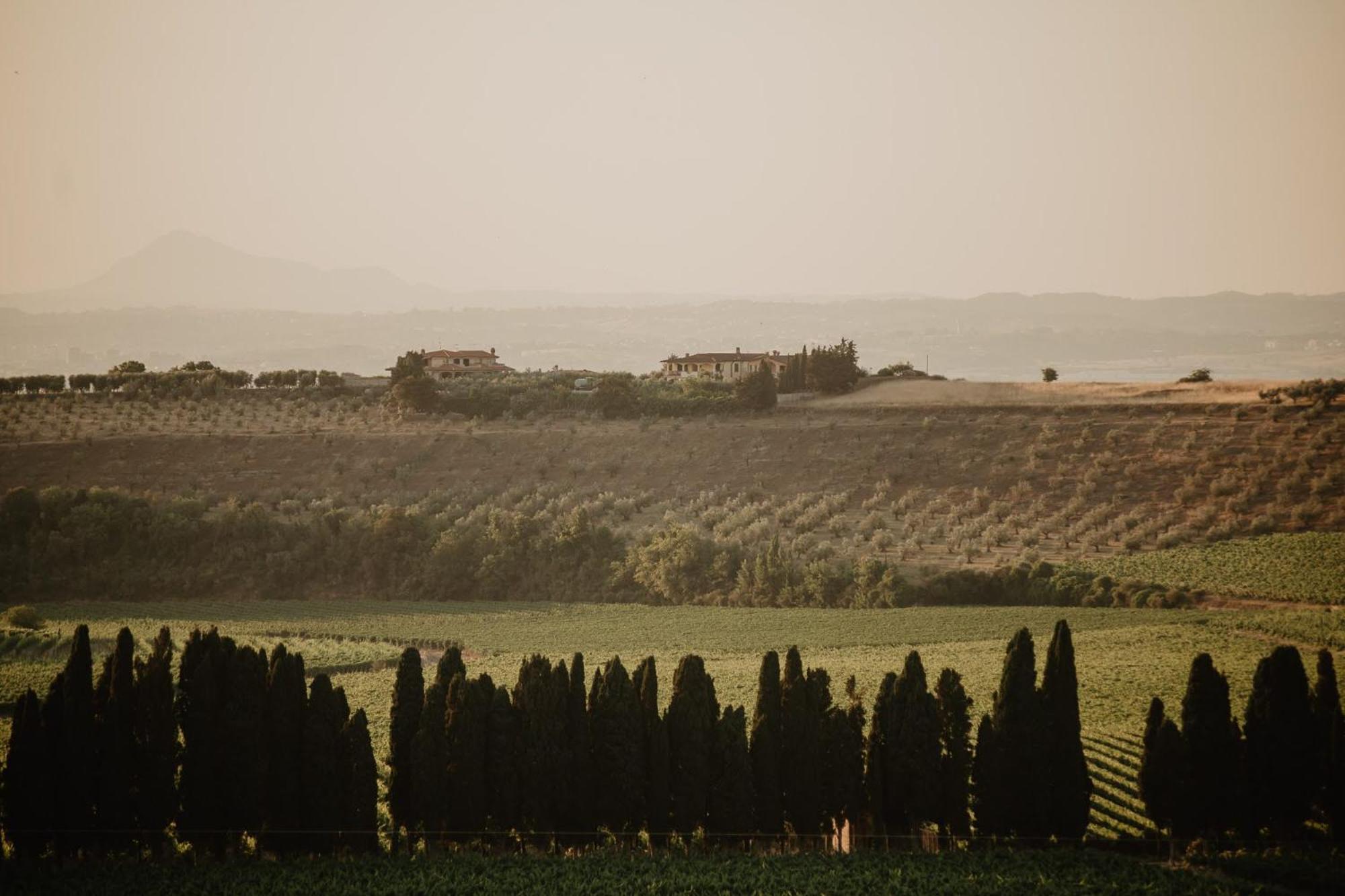 Merumalia Wine Frascati