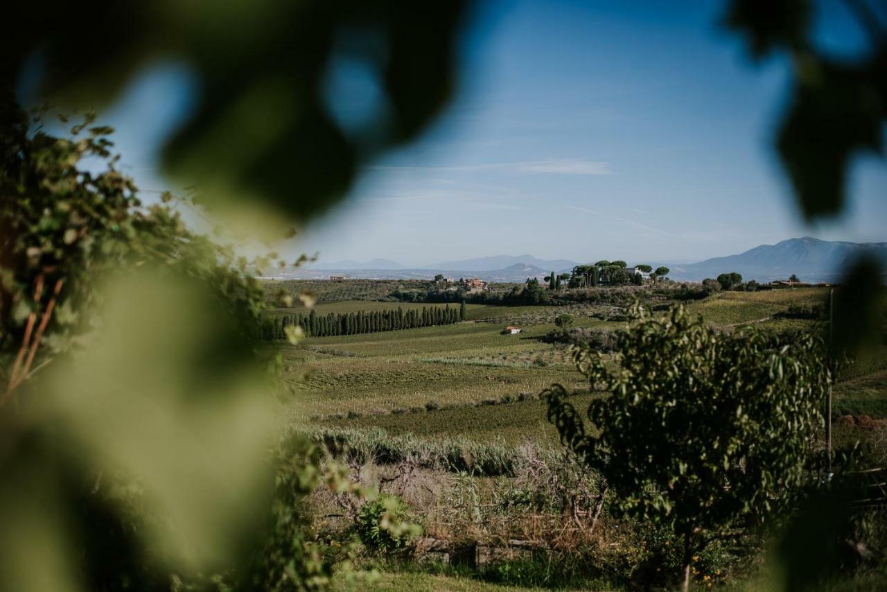 Merumalia Wine Alojamento de Turismo Rural Frascati
