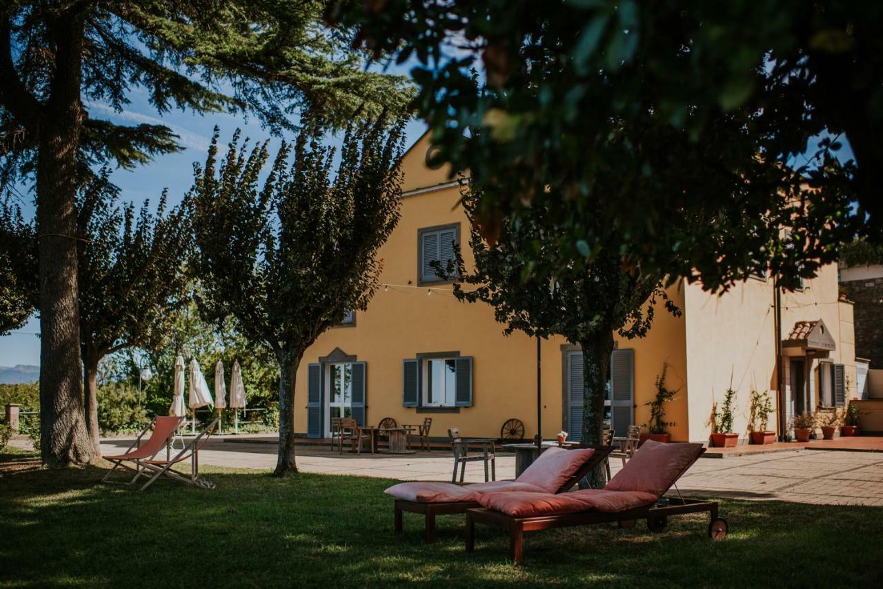 Merumalia Wine * Frascati